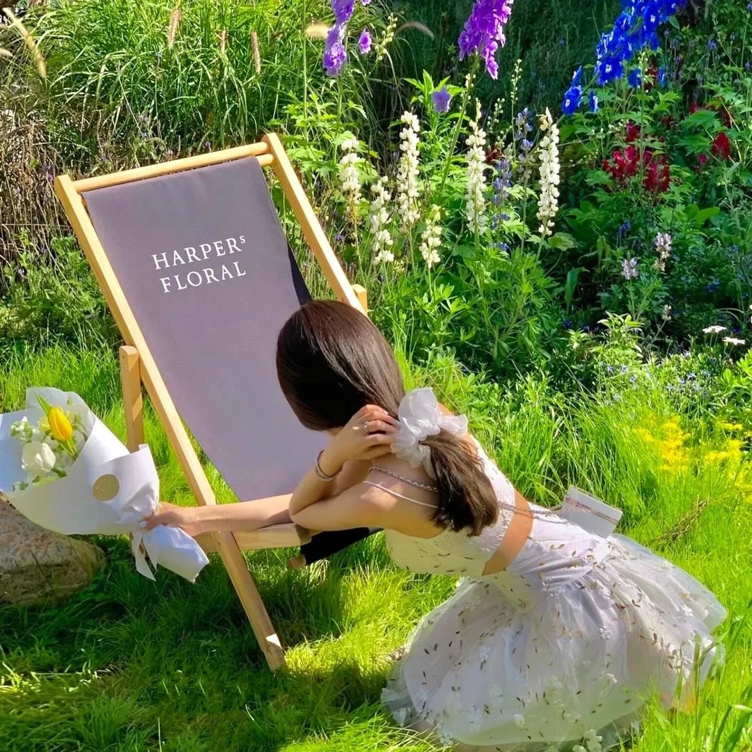 与梦妮卡度过的夏天